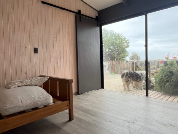 4F60F597-6F07-4D8E-9402-B3021CC20885